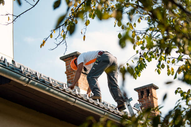 Quick and Trustworthy Emergency Roof Repair Services in Squirrel Mountain Valley, CA