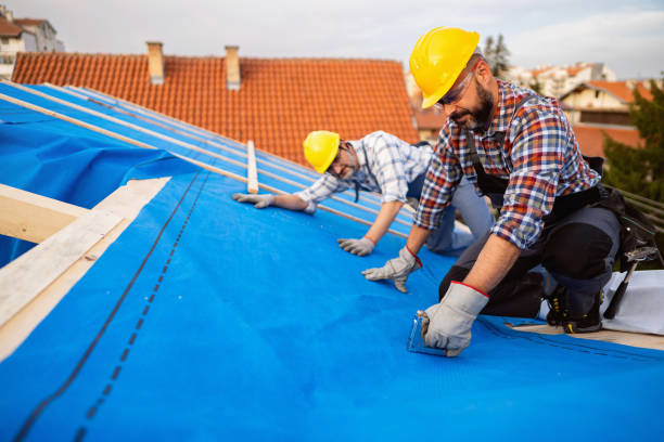 Best Roof Maintenance Services  in Squirrel Mountain Valley, CA